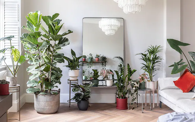 How to choose furniture for a living room