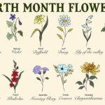 Birth Month Flowers
