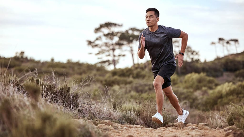 personal exercise programme