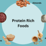 best high protein foods