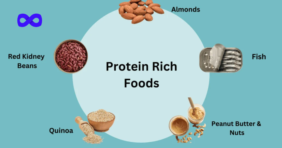 best high protein foods